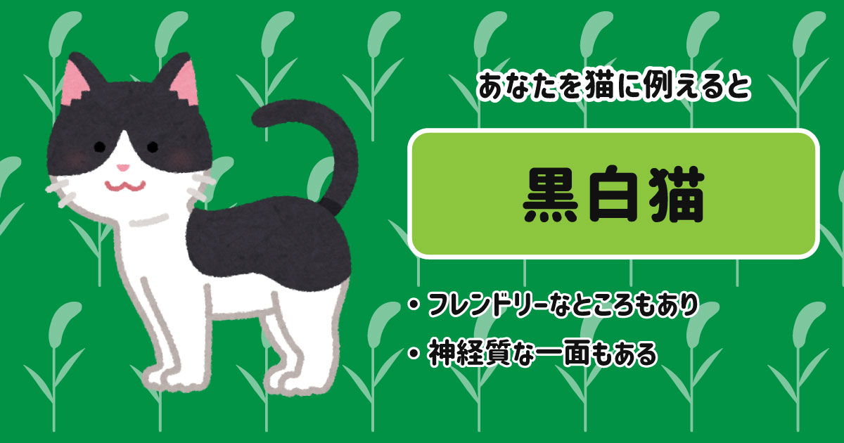 黒白猫[BR]・フレンドリーなところもあり[BR]・神経質な一面もある