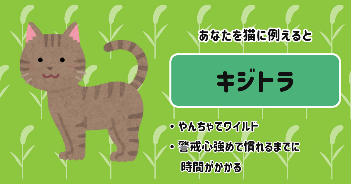 キジトラ[BR]・やんちゃでワイルド[BR]・警戒心強めで慣れるまでに時間がかかる