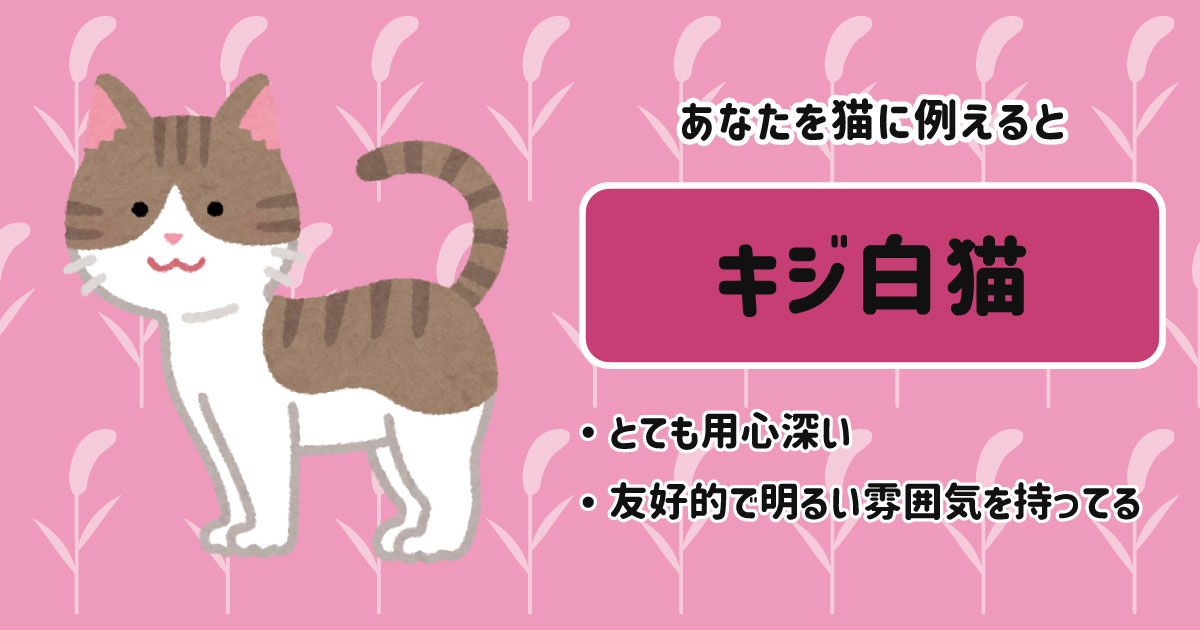 キジ白[BR]・とても用心深い[BR]・友好的で明るい雰囲気を持ってる
