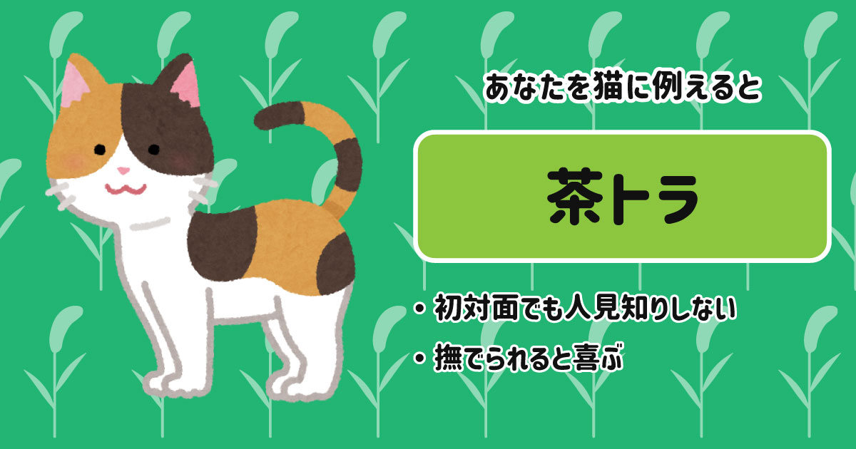 茶トラ[BR]・初対面でも人見知りしない[BR]・撫でられると喜ぶ