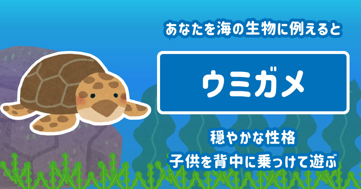 ウミガメ