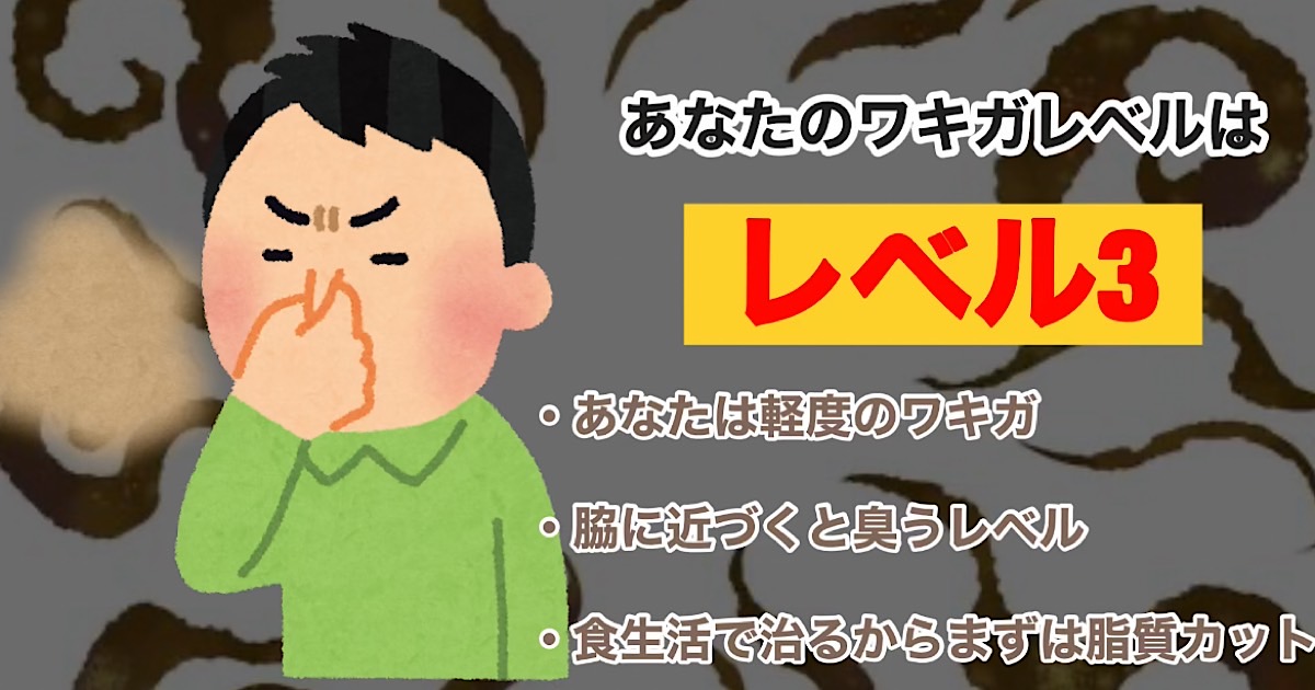 レベル3