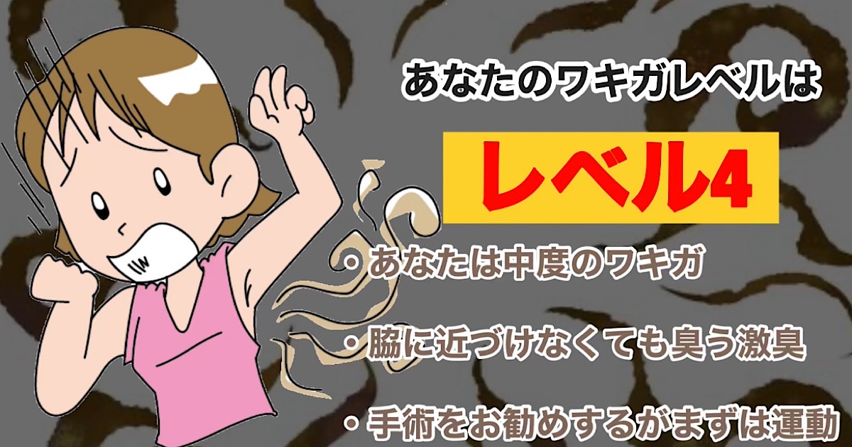 レベル4