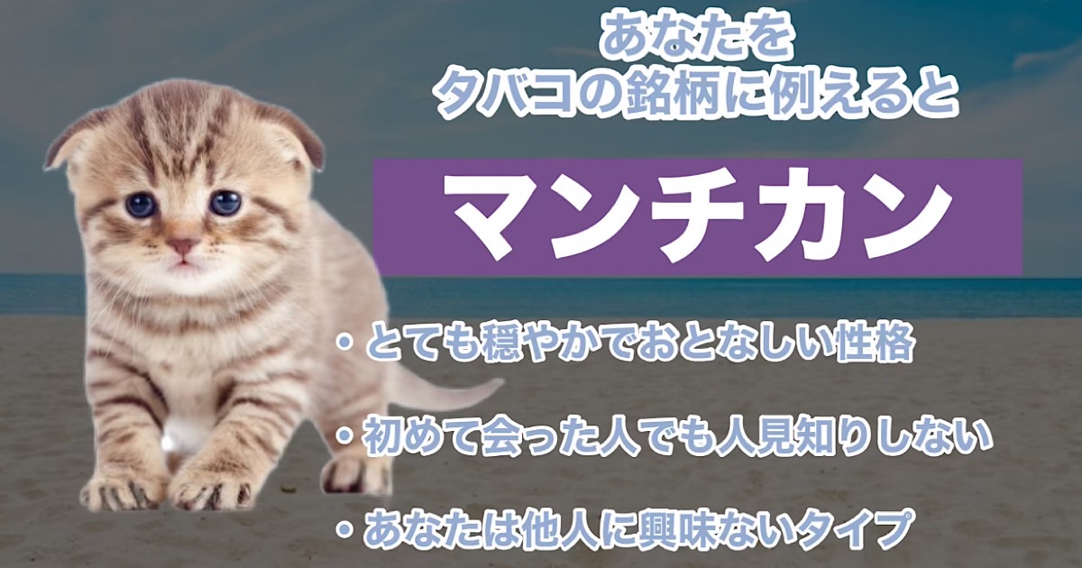 マンチカン