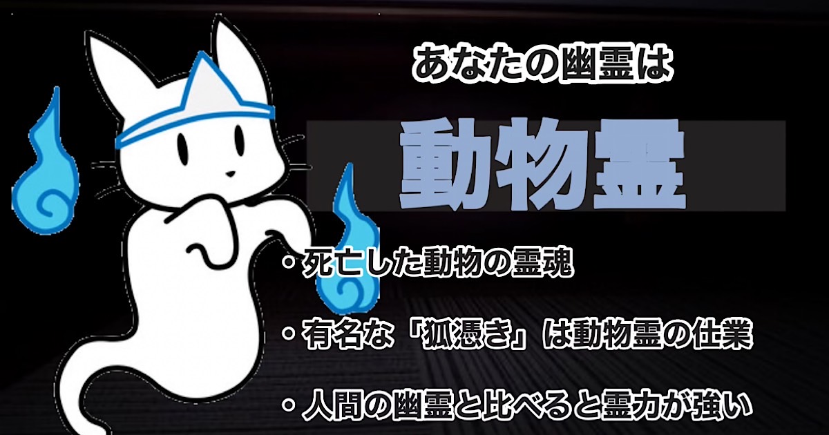 動物霊