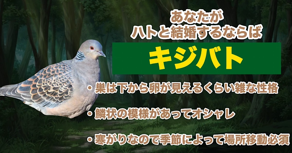 キジバト