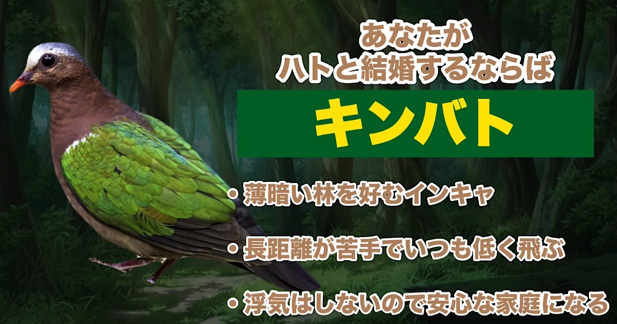 キンバト