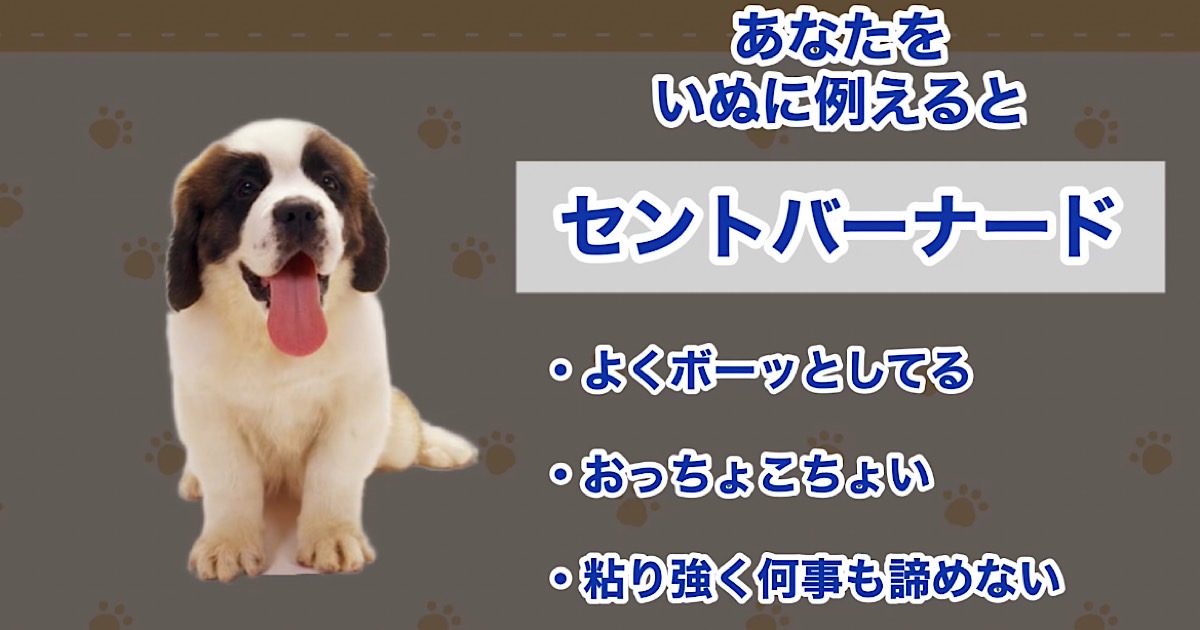 セントバーナード