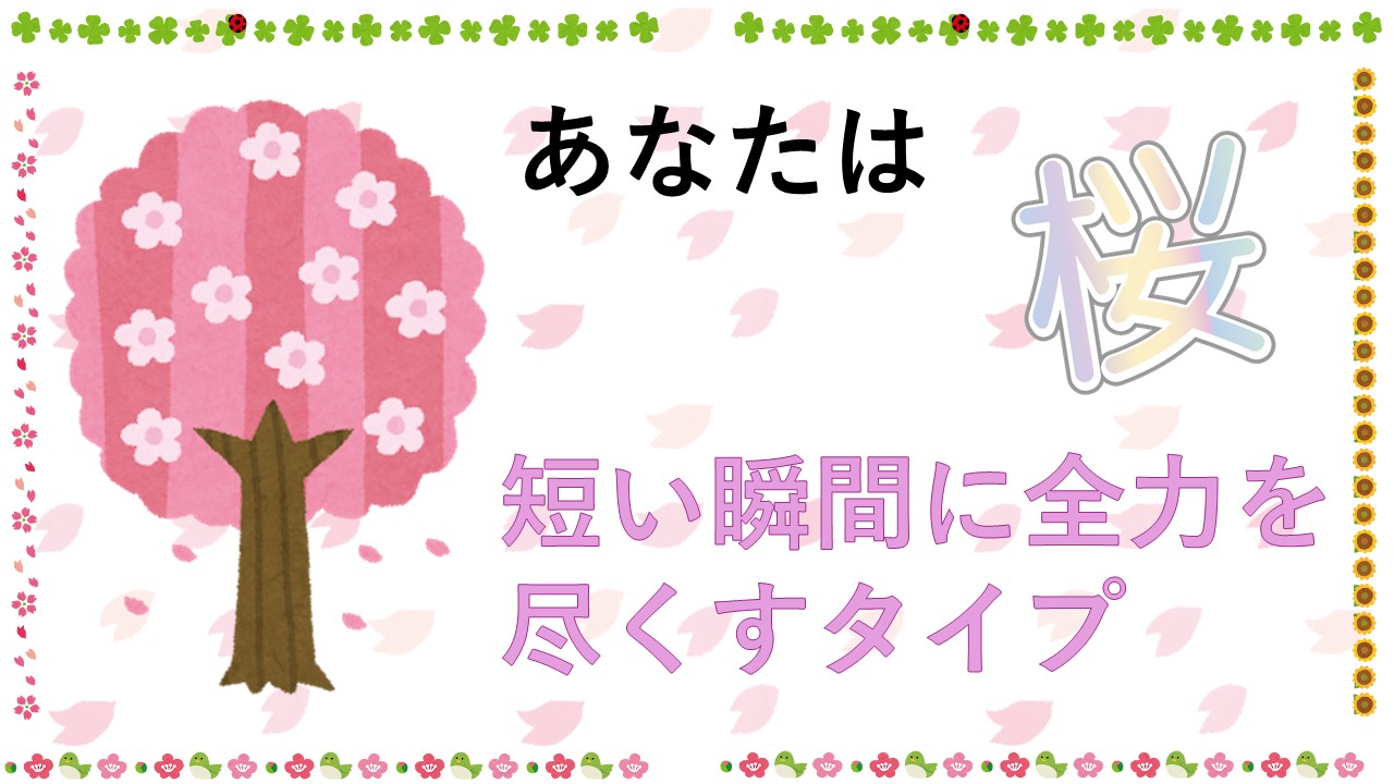 桜